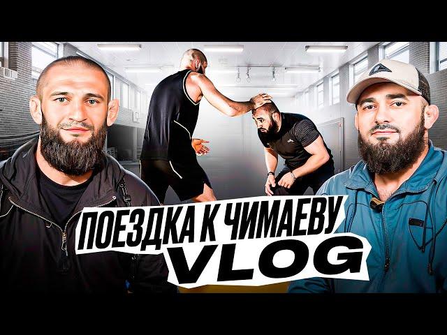 BADAEV VLOG #1: Хамзат Чимаев - меня подставили| Уиттакер-Алискеров, следующий Коста или Стриклэнд?