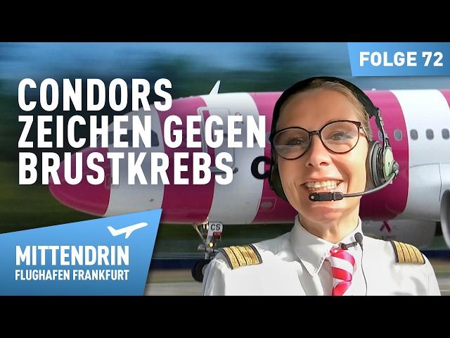 Condor's pink plane - A sign against breast cancer | Mittendrin - Frankfurt Airport 72