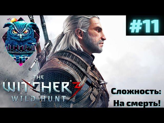 THE WITCHER 3 WILD HUNT Прохождение на Русском | ВЕДЬМАК 3 ДИКАЯ ОХОТА ПРОХОЖДЕНИЕ | СТРИМ #11