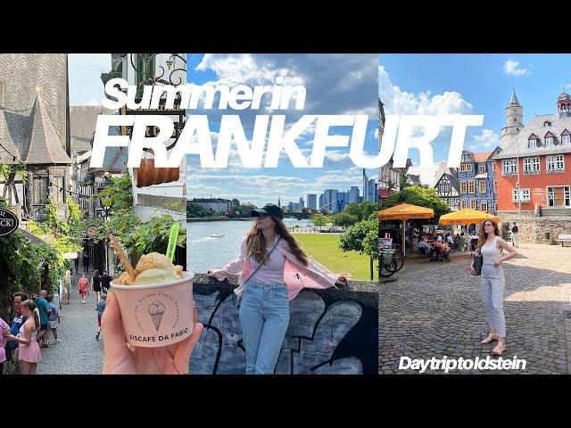 Frankfurt vlog  day trip to Idstein and Rüdesheim am Rhein • Summer days in Germany