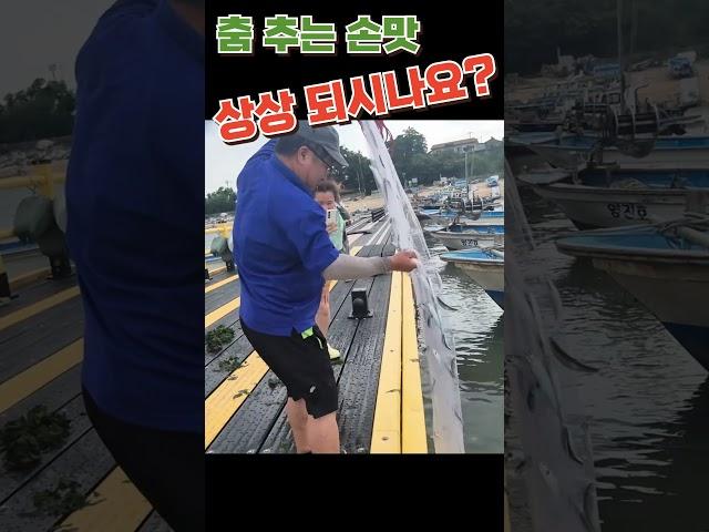 춤 추는 손 맛~ 상상 되시나요? #shorts #투망 #fishing #취미 #바다투망 #취미생활