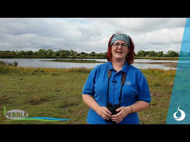 Middleton Lakes PEBBLE project