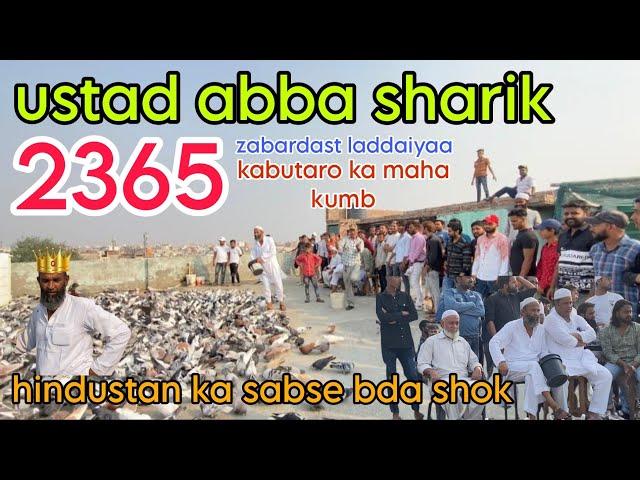 2365 kabutaro ki Zabardast ladaiyya |Ustaad abba sharik aaj tk Hindustan me aisa shok nhi dekha hoga