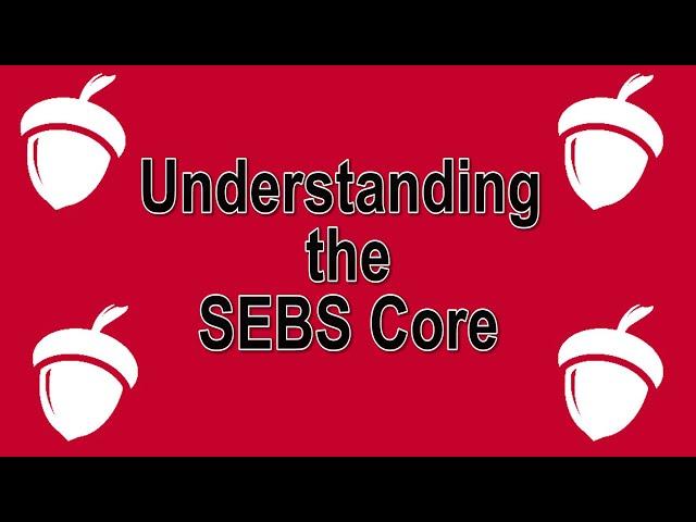 Understanding the SEBS Core