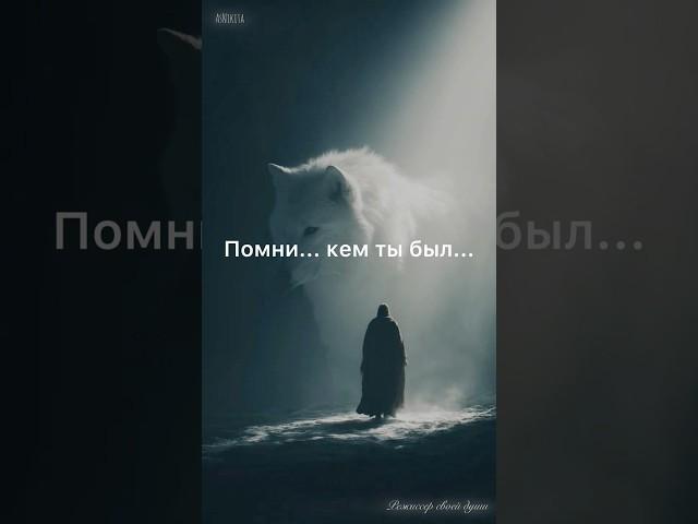 "Путь Света и Белого Волка"
