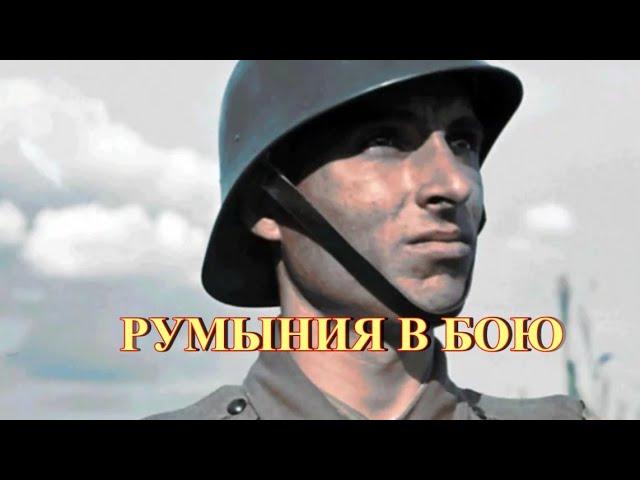 Румыния в бою