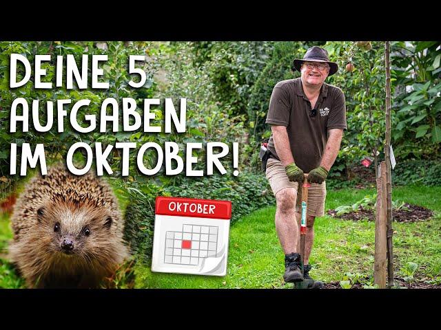 5 Dinge, die du noch diesen Monat erledigen solltest!  - wichtige Gartenarbeiten im Oktober