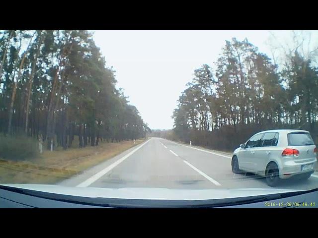 Srnka na ceste / Deer on the road