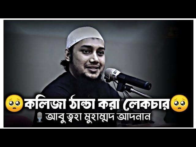 কলিজা ঠান্ডা করা লেকচার | আবু ত্বহা মুহাম্মদ আদনান | Abu Toha Muhammad Adnan | আবু ত্বহা আদনান ওয়াজ