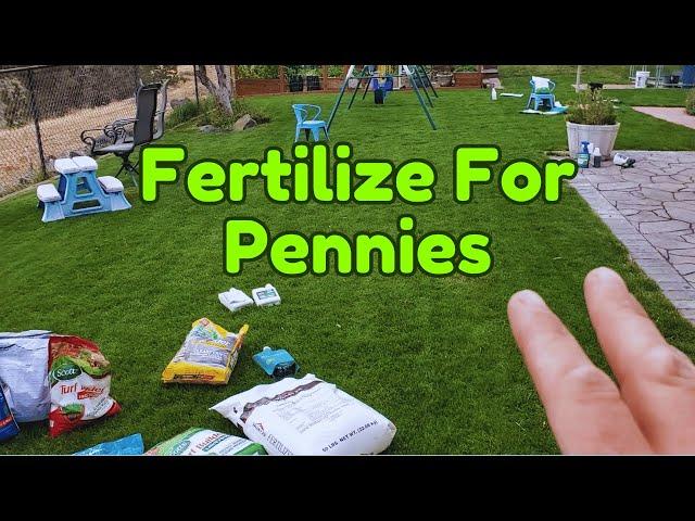 Cheapest Way To Fertilize A Fall Lawn // Synthetics Explained