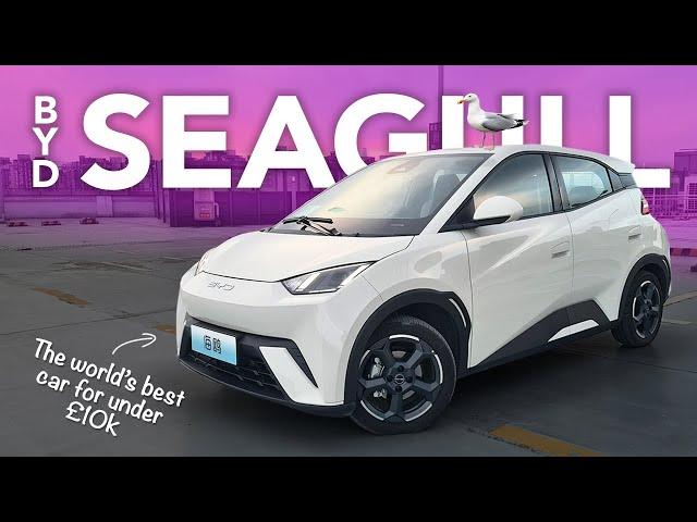 BYD Seagull / Dolphin Mini - The Affordable EV We've All Been Waiting For