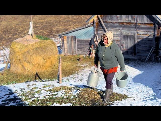 Village Life in Winter: Lonely Grandma Takes Care of Cows in a Remote Mountain Village