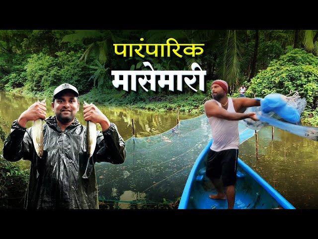 खाडीतील पारंपरिक मासेमारी पद्धत "वान" | Traditional Fishing In Konkan