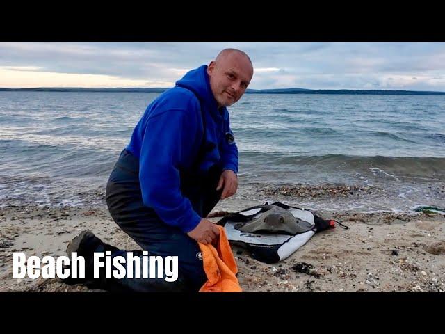 Beach Fishing - Park Shore - Sting Rays