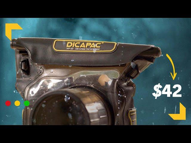 Can a $42 Plastic Bag Waterproof a DSLR?