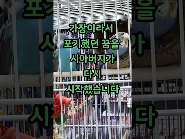 가장이라서 포기했던 꿈을 시아버지가 시작했습니다 #제보 #사연 #시댁썰