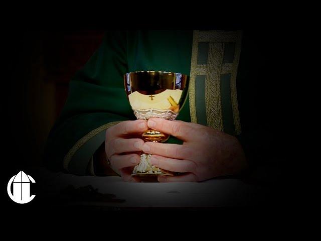 Catholic Mass Today: 6/20/25 | Friday of the Eleventh Week in Ordinary Time