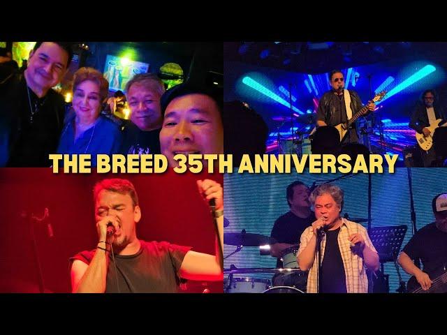 THE BREED  35TH ANNIVERSARY IN 19 EAST FEAT. RAZORBACK, PIG DOG, BASTI ARTADI