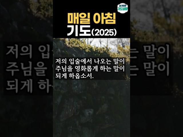 아침을 여는 기도 ㅣ 하루를 시작하며 드리는 매일 아침 기도