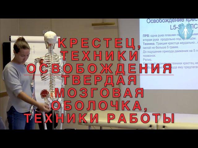 Техники освобождения крестца. Техники работы с твердой мозговой оболочкой. Прикладная кинезиология