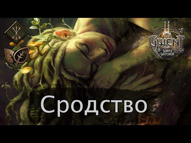 Гвинт. Сродство (Дар природы)  feat Chase. Январь 2021г. Подробный гайд + бои. Патч 8.1