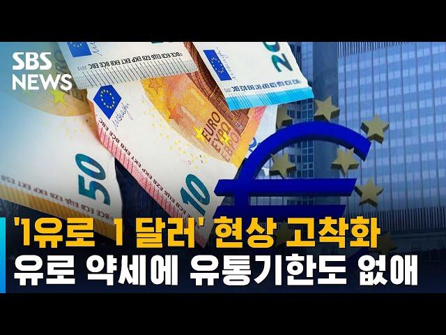 '1유로  1 달러' 현상 고착화…유로 약세에 유통기한도 없애 / SBS