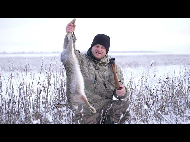 Охота на зайца в ЧИСТОМ ПОЛЕ. Тропление зайца по свежему снегу.