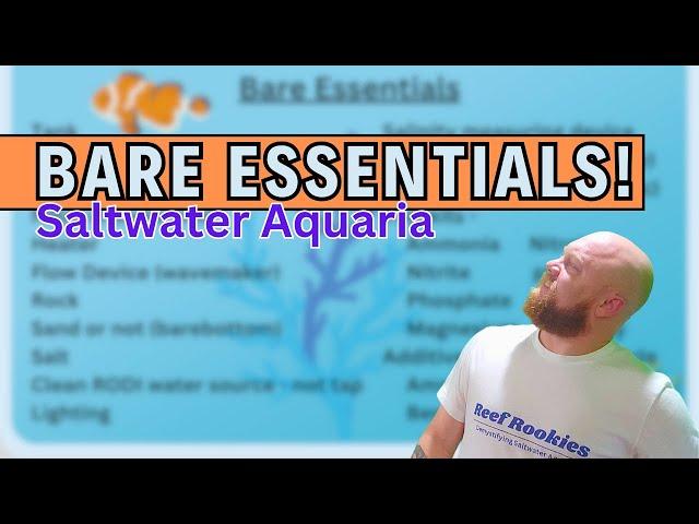 Basic equipment required for a Saltwater Aquarium in 2024