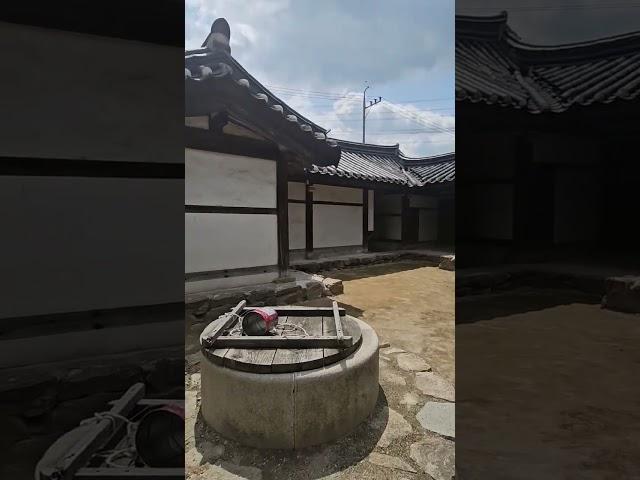 250년(보호수)  #모과나무#보호수#전통가옥 #청문당