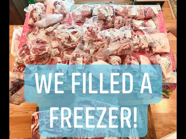 We just filled a freezer!  Year worth of pork.