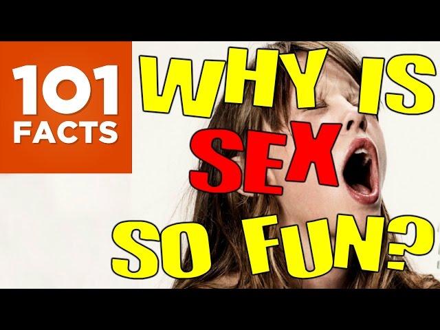 Why Is Sex So Fun? 101 Facts Explains...