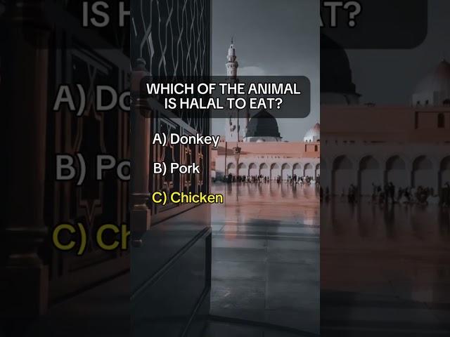 Islamic Knowledge Quiz #muslim #islamicquestions #islamictrivia #shorts #islam #quiz z