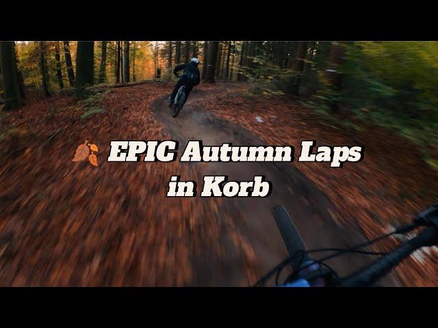  EPIC Autumn Laps in Korb: Kreuzeiche x Kurventrail x K-Stuhl x Shorty