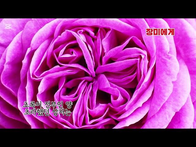 ■장성현가곡교실 [2799] 장미에게 안시현 시/한정임 작곡