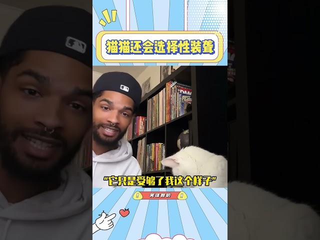 猫猫因为受够了神经的主人，于是学会了装聋#猫咪#猫猫#宠物#萌宠#可爱#搞笑