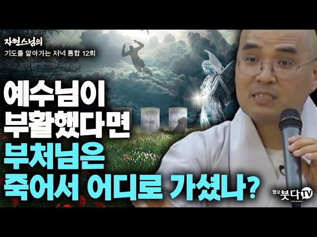 예수님이 부활했다면 부처님은 죽어서 어디로 가셨나? | 자현스님의 기도를 알아가는 저녁 통합본 12회 웃음 재미 이야기 전설 문화 종교 사후세계 죽음 천당 지옥