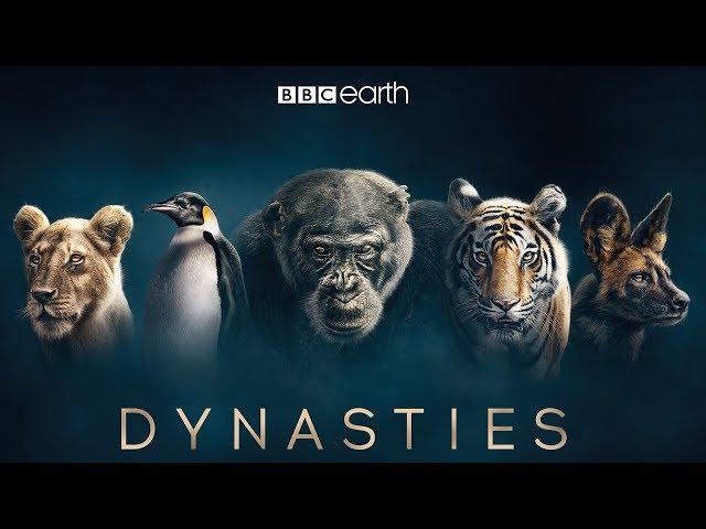 Dynasties: First Look Trailer | New David Attenborough Series | BBC Earth