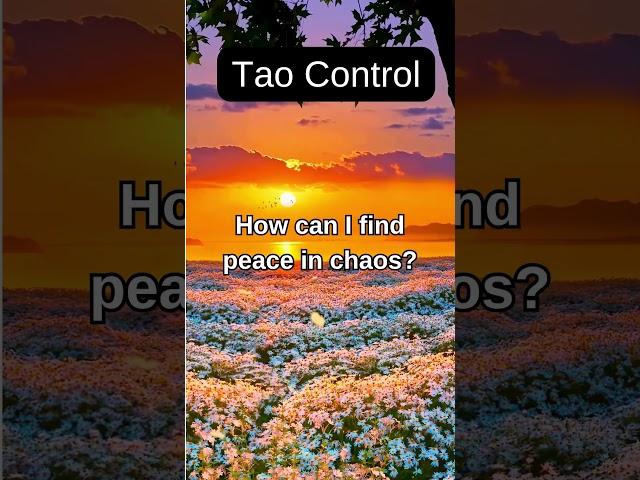 The Tao Whisper 1:  Control
