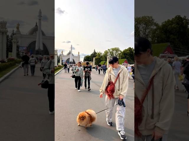 Diana Ankudinova ( Диана Анкудинова ) on a walk with the family - на прогулке с семьей