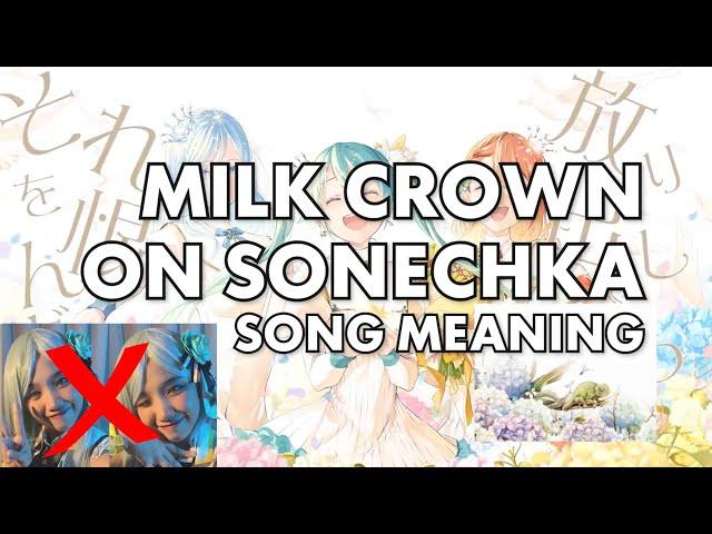 MILK CROWN ON SONECHKA - what's the song about??