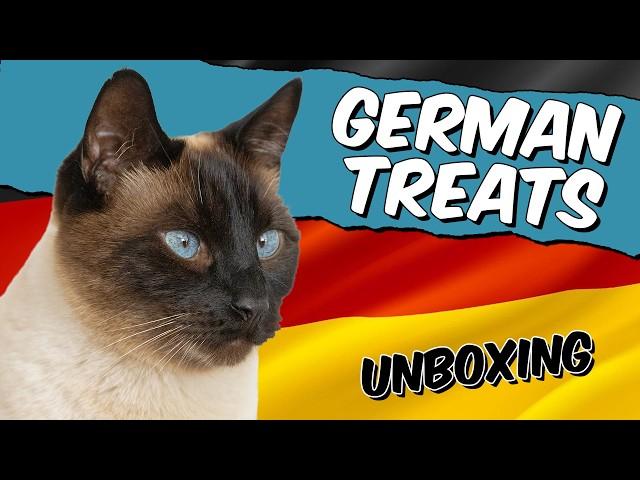 Siamese Cat Taste Test: Do Unique German Treats Impress?