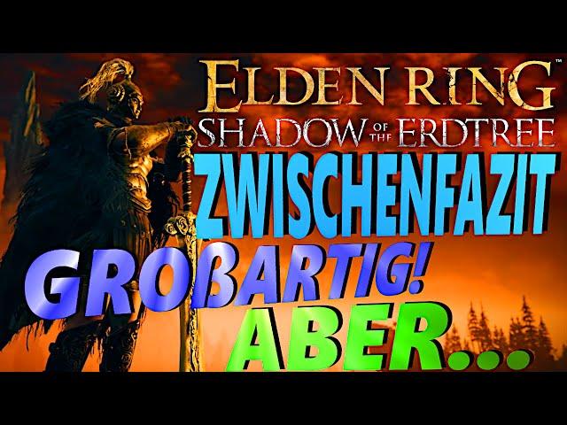 ZWISCHENFAZIT! (30 St. gespielt) Großartig ABER... -  Shadow of the Erdtree