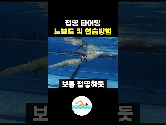 접영 타이밍을 위한 노보드 킥 연습