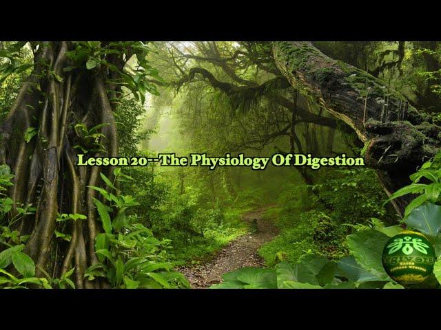 Life Science Health System | Lesson 20--The Physiology Of Digestion