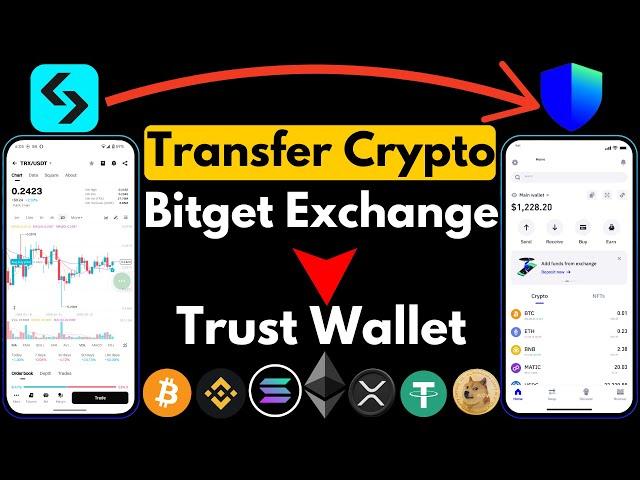 How to Transfer Crypto from Bitget to Trust Wallet 2025 | Step by Step Guide