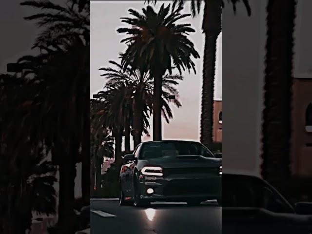 DODGE 