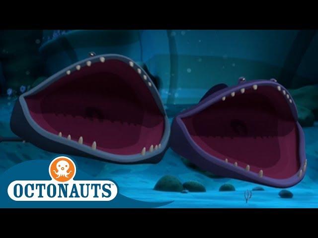 #StayHome Octonauts - Gobblefish! | Compilation | Cartoons for Kids