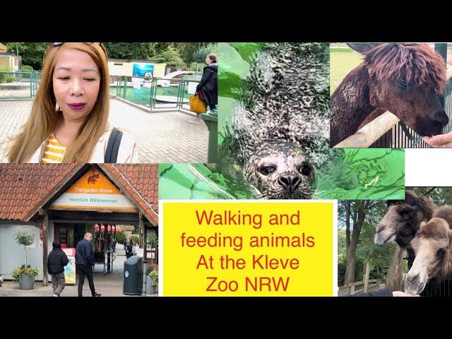 Zoo walking Tour and feeding animals#Kleve #zoo