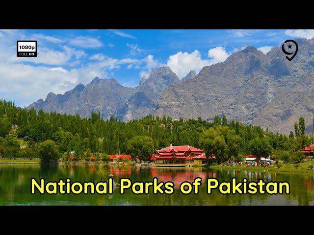 Discovering Natural Wonders: 10 National Parks of Pakistan to See