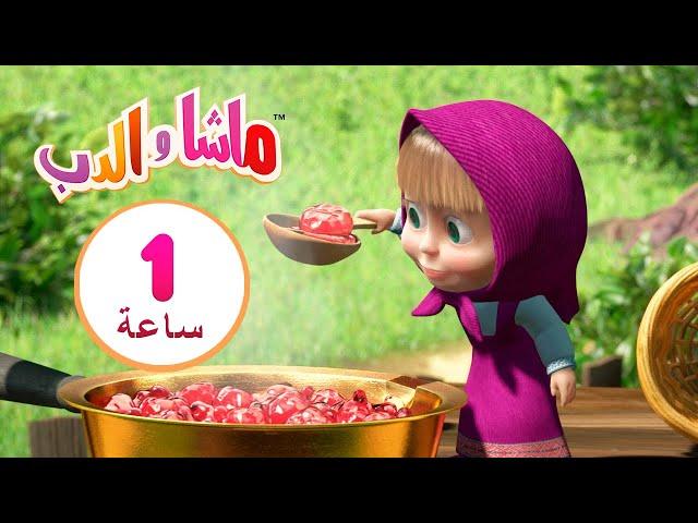 ماشا والدب  أميرة الأسنان الحلوة ‍️ مجموعة  13⏱ 1 ساعة ‍️Masha and the Bear